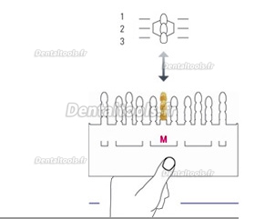 VITA Toothguide 3D-MASTER® Relevé de teinte Toothguide