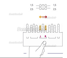 VITA Toothguide 3D-MASTER® Relevé de teinte Toothguide