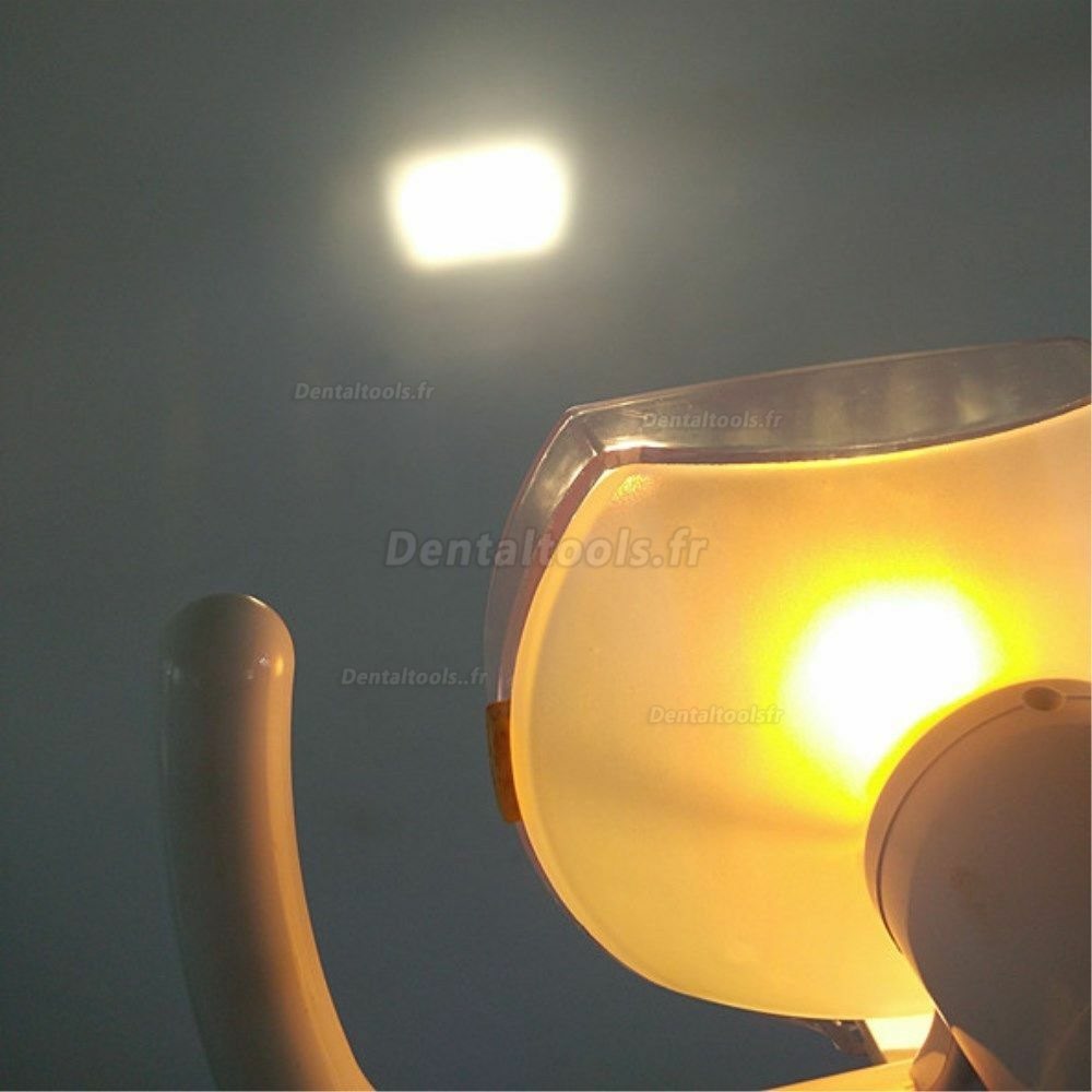 50W Mural Dentaire Lumière Lampe orale Led avec bras Shadowless Lumière froide