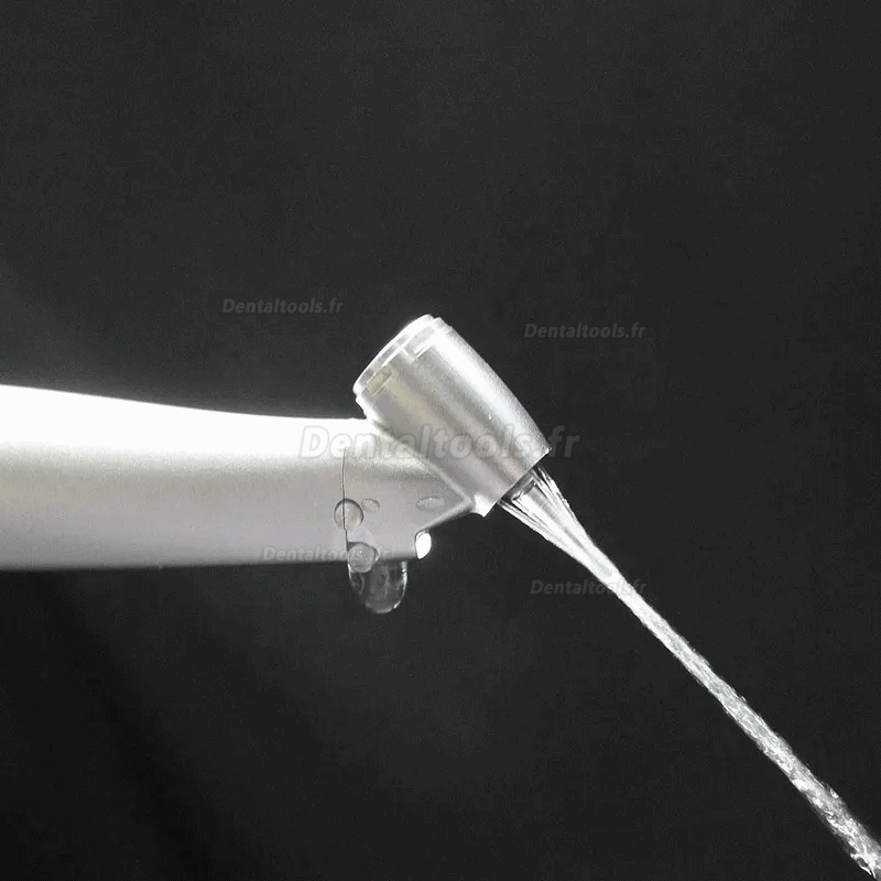 Westcode dentaire 45° fibre optique 1:4.2 contre-angle bague rouge type-E