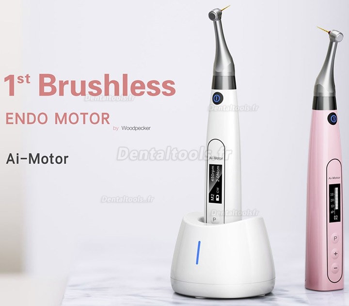 Woodpecker Ai-Motor Dental Endo Motor Apex Locator Brushless Cordless