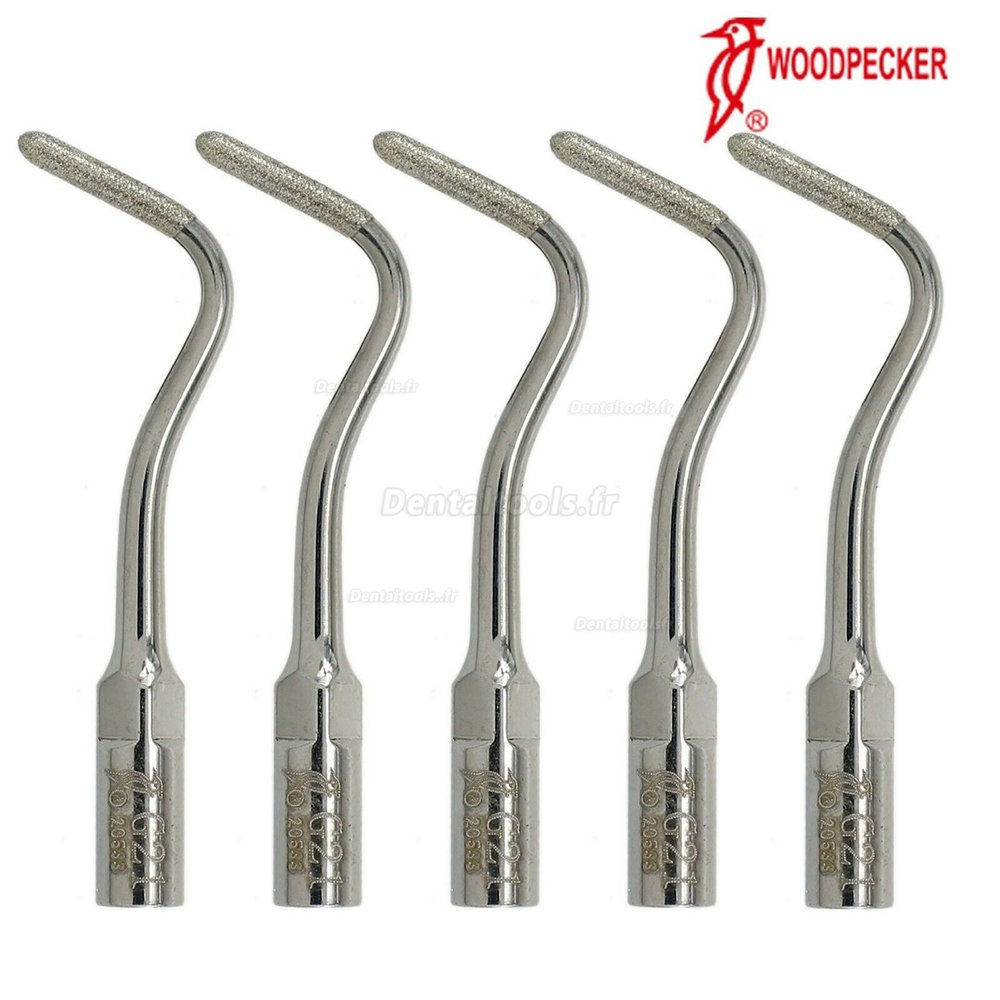 5Pcs Woodpecker G21 Insert de détartreur Polonais à dentine enduit de diamant compatible avec EMS PIEZON