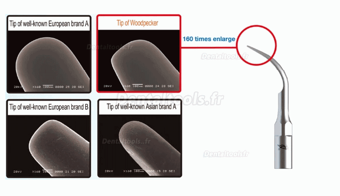 10Pcs Woodpecker Insert de détartrage endodontie E1 E2 E3 E3D E4 E4D E5 E5D E8 E9 E10D E11 E11D E14