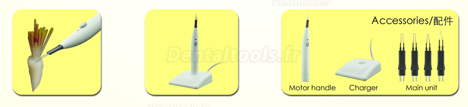 XM® Endodontie Cutter à la Gutta sans câble 20803