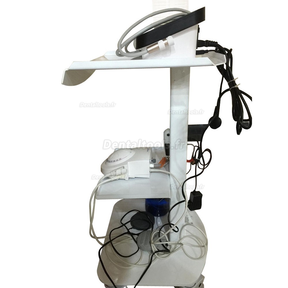 Médical Chariot mobile en acier Docteur dentaire brouette Salon Spa Équipement multifonctionnel