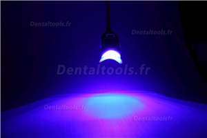Dent dentaire LED blanchissant la lampe de blanchiment pour tenir sur la table YS-TW-C