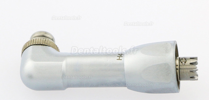 Tête de rechange CH-8 pour NSK YUSENDENT/COXO contre-angle Tête de rechange CH-8 pour NSK YUSENDENT/COXO contre-angle