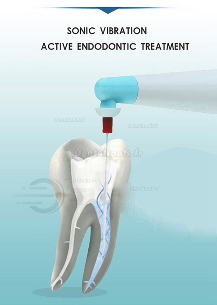 Sonic Ergonomique Endo Irrigateur Endoactivateur Ultrasonique Endodontie + 60Pcs Inserts dentaire