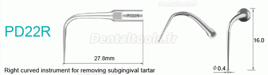 10Pcs Dental Scaler Scaling Tips PD2L PD2LD PD2R PD2RD PD5 PD6 PD7 PD8 PD10 compatible avec SATELEC NSK DTE GNATUS Scaler Handpiece