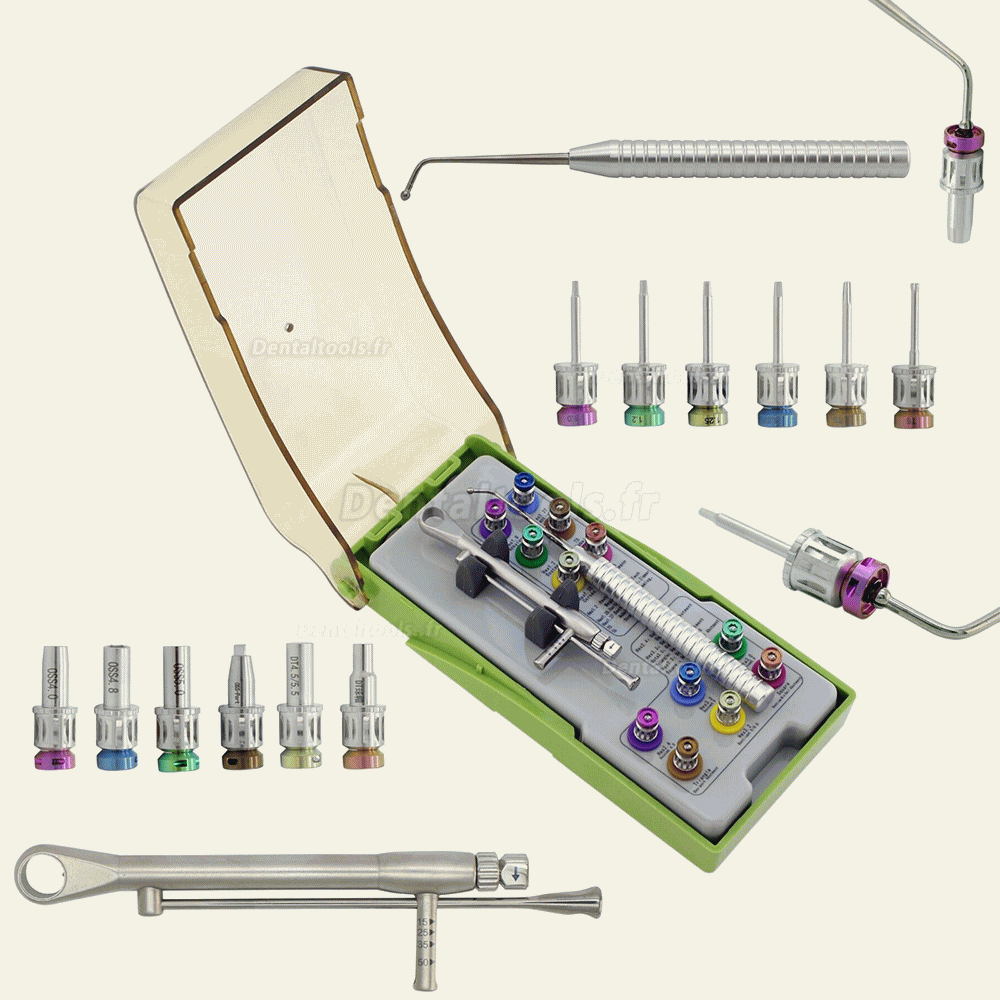 Kit de prothèse dentaire universel clé dynamométrique jeu de tournevis à cliquet